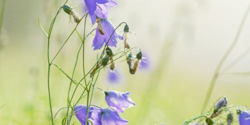 andrea-windolph-974743-unsplash (1)
